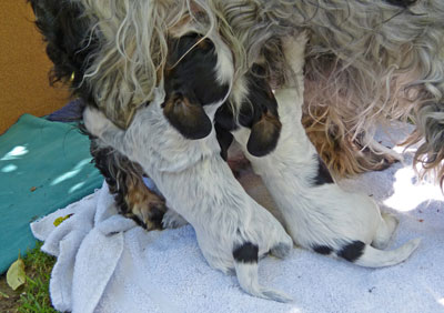 2-bleib-stehen-Mama