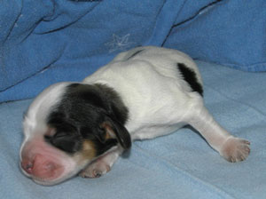 26-Grete-3-Tage-alt