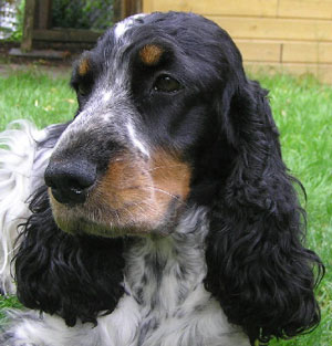 Fine-Portrait