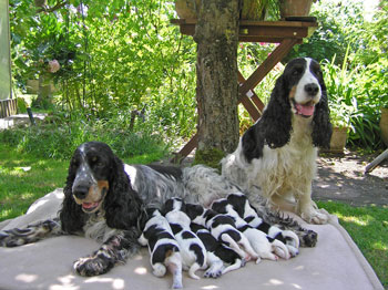 H-Familienfoto H-Familienfoto