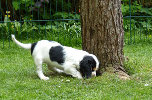 J-Gartenarbeit