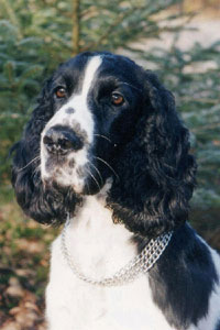 Tessie-Portrait-+ Tessie-Portrait-+
