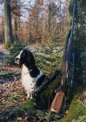 Tessie0001